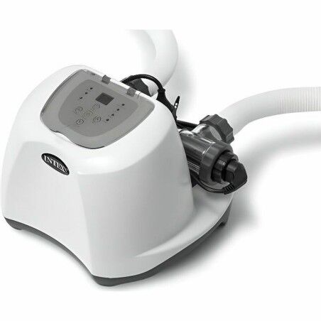 Salt Chlorination System Intex