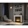 Infire Inportal1 Chimenea de Bioetanol Blanco con 1 Ventana