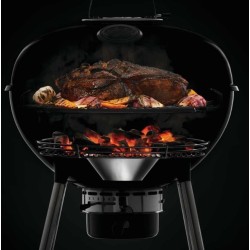Barbecue grill Napoleon au charbon de bois PRO22
