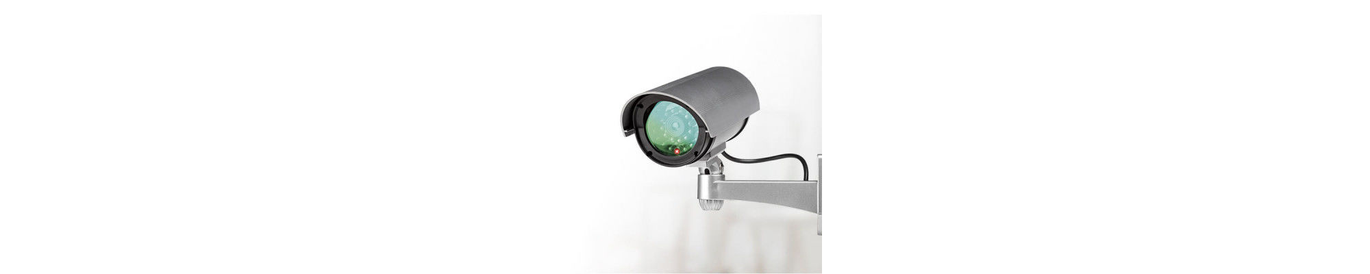 Surveillance video cameras